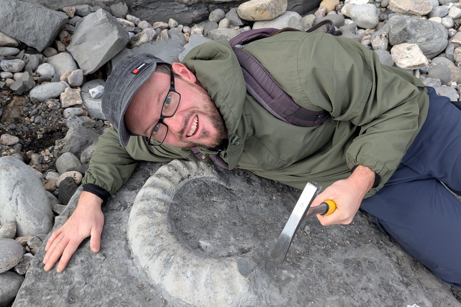 Versteinerte Fossilien